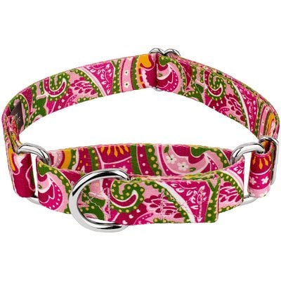Country Brook Design Country Brook Design Paisley Polyester Martingale Dog Collar, Pink, X-Large: 23 to 31-in neck, 1-in wide
