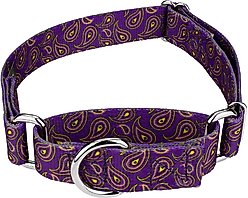 Country Brook Design Paisley Polyester Martingale Dog Collar, Purple, Large: 18 to 26-in neck, 1-in wide