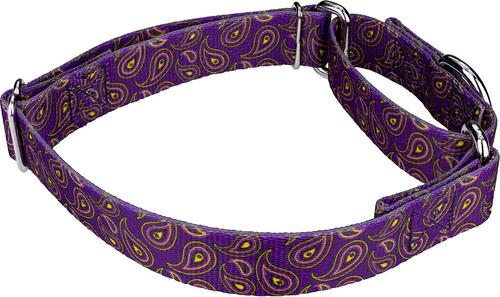 Show full view: Country Brook Design Paisley Polyester Martingale Dog Collar, Purple, Medium: 15 to 21-in neck, 1-in wide slide 4 of 8