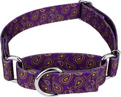 Country Brook Design Paisley Polyester Martingale Dog Collar, Purple, X-Large: 23 to 31-in neck, 1-in wide