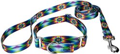 Country Brook Design Tie-Dye Flowers Polyester Martingale Dog Collar & Leash, Medium: 15 to 21-in neck, 1-in wide