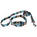 Country Brook Design Tie-Dye Flowers Polyester Martingale Dog Collar & Leash, Small: 11 to 15-in neck, 5/8-in wide