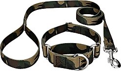 Country Brook Design Woodland Camo Polyester Martingale Dog Collar & Leash, Large: 18 to 26-in neck, 1-in wide