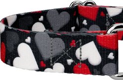 Country Brook Petz Be Mine Polyester Martingale Dog Collar, Black, Medium: 15 to 21-in neck, 1-in wide slide 2 of 5