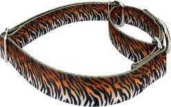 Country Brook Petz Bengal Tiger Stripes Polyester Martingale Dog Collar, Orange, Small: 11 to 15-in neck, 5/8-in wide slide 2 of 5