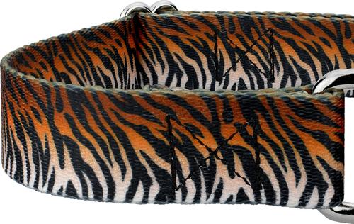 Show full view: Country Brook Petz Bengal Tiger Stripes Polyester Martingale Dog Collar, Orange, XX-Small: 7 to 10-in neck, 1/2-in wide slide 5 of 5