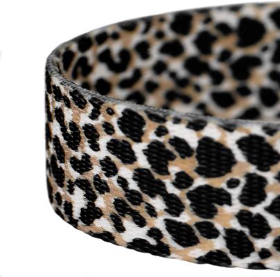 Show full view: Country Brook Petz Cheetah Dog Leash, Black, Small: 6-ft long, 1/2-in wide slide 3 of 4