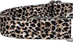 Country Brook Petz Cheetah Polyester Martingale Dog Collar, Black, Large: 18 to 26-in neck, 1-in wide slide 2 of 7