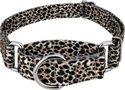 Country Brook Petz Cheetah Polyester Martingale Dog Collar, Black, Medium: 15 to 21-in neck, 1-in wide