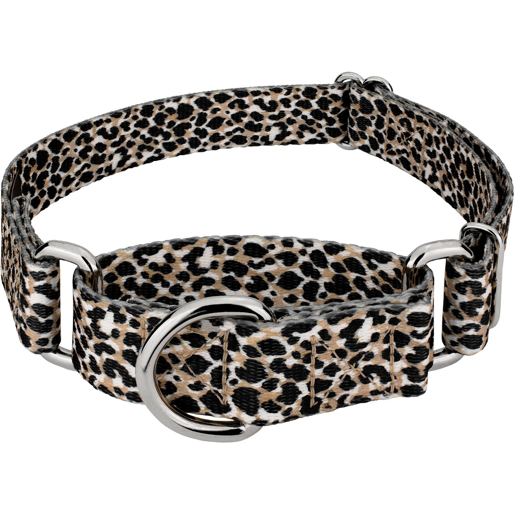 Country Brook Petz Cheetah Polyester Martingale Dog Collar, Black, Small: 11 to 15-in neck, 5/8-in wide