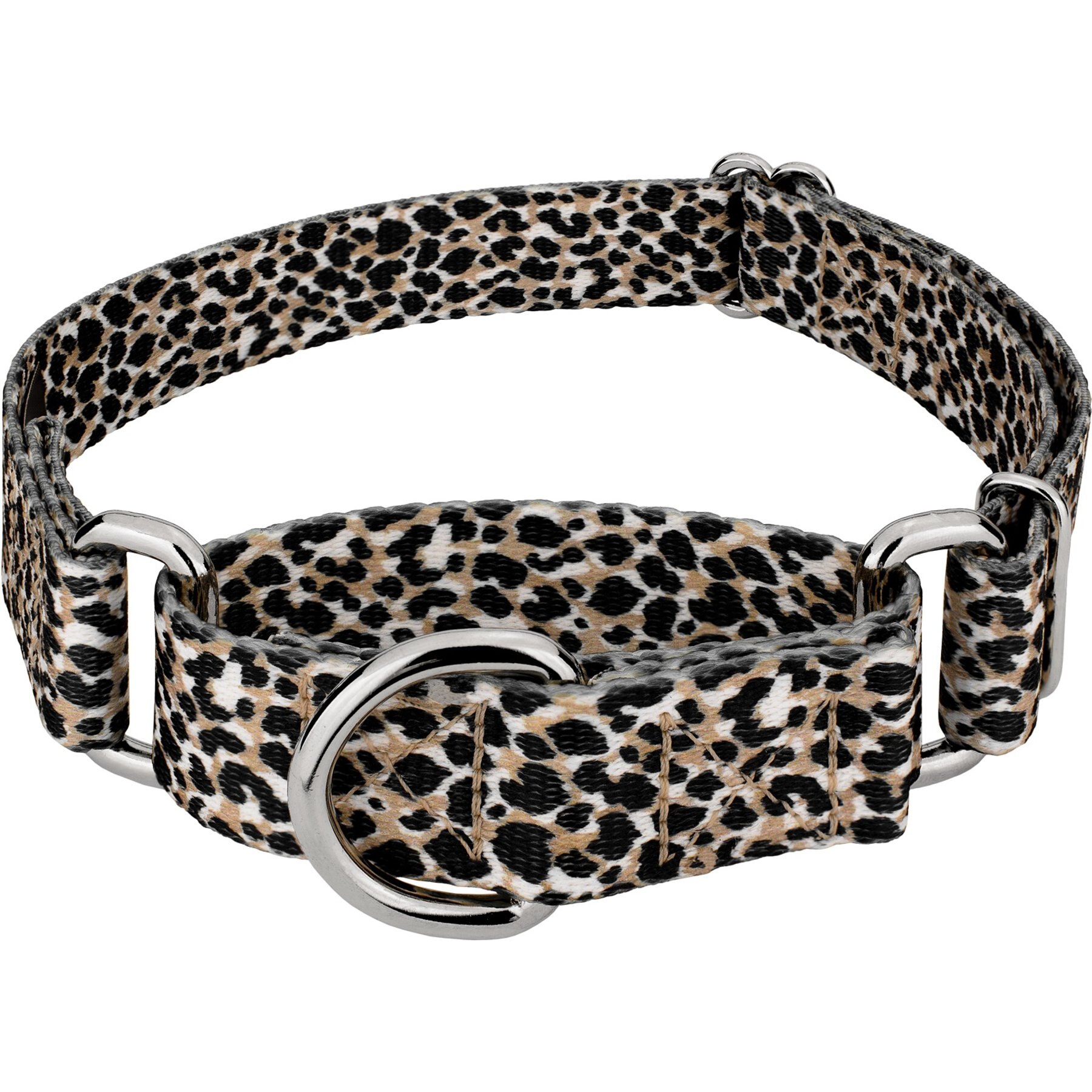 Country Brook Petz Cheetah Polyester Martingale Dog Collar, Black, X-Small: 9 to 12-in neck, 1/2-in wide