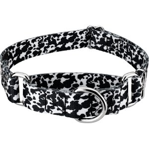 Country Brook Petz Dairy Cow Polyester Martingale Dog Collar, Black, Large: 18 to 26-in neck, 1-in wide