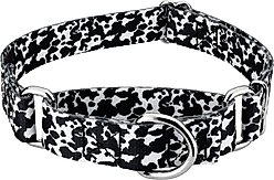 Country Brook Petz Dairy Cow Polyester Martingale Dog Collar, Black, Medium: 15 to 21-in neck, 1-in wide