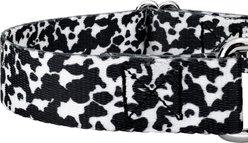 Country Brook Petz Dairy Cow Polyester Martingale Dog Collar, Black, Medium: 15 to 21-in neck, 1-in wide slide 2 of 7