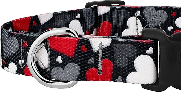 Show full view: Country Brook Petz Deluxe Be Mine Dog Collar, Black, X-Small: 9 to 11-in neck, 1/2-in wide slide 5 of 5