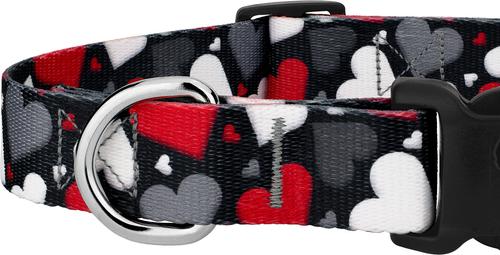 Show full view: Country Brook Petz Deluxe Be Mine Dog Collar, Black, X-Small: 9 to 11-in neck, 1/2-in wide slide 6 of 7