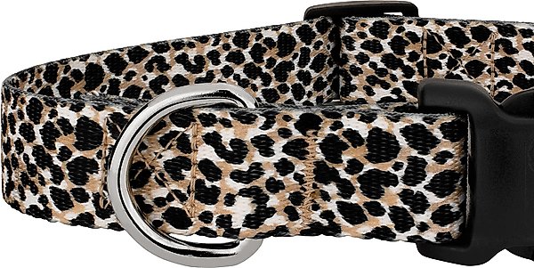 Show full view: Country Brook Petz Deluxe Cheetah Dog Collar, Black, 11 to 13-in neck, 5/8-in wide slide 5 of 5