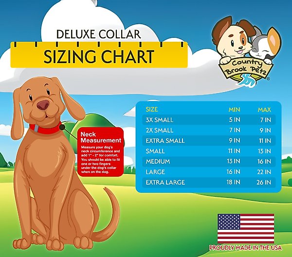 Show full view: Country Brook Petz Deluxe Cheetah Dog Collar, Black, 11 to 13-in neck, 5/8-in wide slide 2 of 5