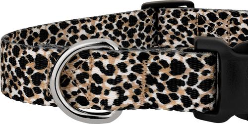 Show full view: Country Brook Petz Deluxe Cheetah Dog Collar, Black, 18 to 26-in neck, 1-in wide slide 5 of 5