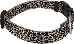 Country Brook Petz Deluxe Cheetah Dog Collar, Black, 7 to 9-in neck, 1/2-in wide slide 2 of 5
