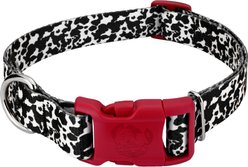 Country Brook Petz Deluxe Dairy Cow Dog Collar, Black, 18 to 26-in neck, 1-in wide