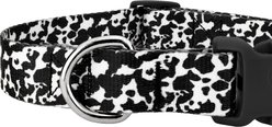 Country Brook Petz Deluxe Dairy Cow Dog Collar, Black, 7 to 9-in neck, 1/2-in wide slide 2 of 5