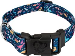 Country Brook Petz Deluxe Dinosaurs Dog Collar, Blue, Large: 16 to 22-in neck, 1-in wide