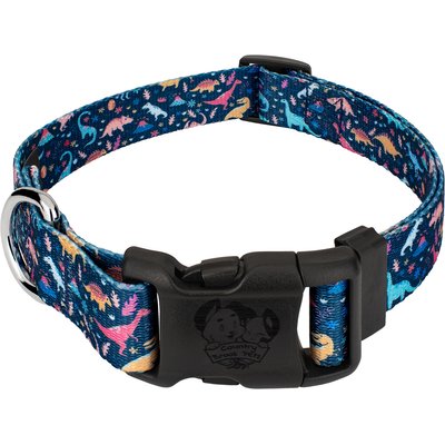 Country Brook Petz Country Brook Petz Deluxe Dinosaurs Dog Collar, Blue, Large: 16 to 22-in neck, 1-in wide