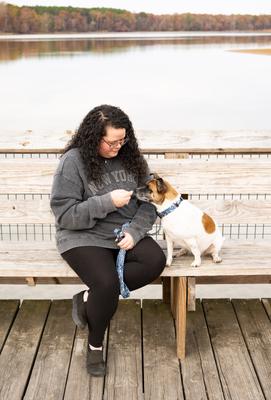 Show full view: Country Brook Petz Deluxe Dinosaurs Dog Collar, Blue, Large: 16 to 22-in neck, 1-in wide slide 3 of 7