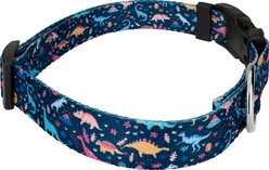 Country Brook Petz Deluxe Dinosaurs Dog Collar, Blue, Medium: 13 to 16-in neck, 1-in wide slide 2 of 7