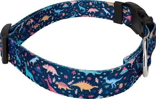 Show full view: Country Brook Petz Deluxe Dinosaurs Dog Collar, Blue, Medium: 13 to 16-in neck, 1-in wide slide 7 of 8