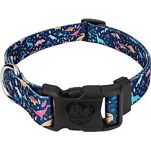 Country Brook Petz Deluxe Dinosaurs Dog Collar, Blue, Small: 11 to 13-in neck, 5/8-in wide