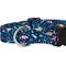Show in main carousel: Country Brook Petz Deluxe Dinosaurs Dog Collar, Blue, Small: 11 to 13-in neck, 5/8-in wide slide 7 of 7