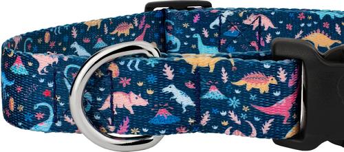 Show full view: Country Brook Petz Deluxe Dinosaurs Dog Collar, Blue, X-Small: 9 to 11-in neck, 1/2-in wide slide 7 of 7