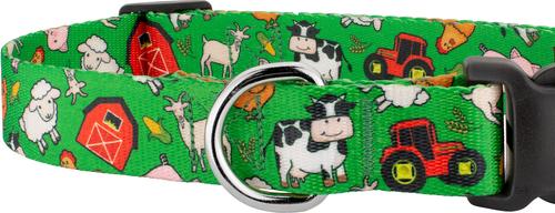 Show full view: Country Brook Petz Deluxe Farm Life Y'all Dog Collar, Green, Small: 11 to 13-in neck, 5/8-in wide slide 6 of 6