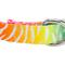 Show in main carousel: Country Brook Petz Deluxe Fashion Zebra Dog Collar, Multi-Colored, 11 to 13-in neck, 5/8-in wide slide 7 of 7