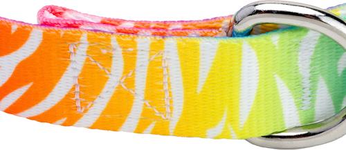 Show full view: Country Brook Petz Deluxe Fashion Zebra Dog Collar, Multi-Colored, 18 to 26-in neck, 1-in wide slide 7 of 7