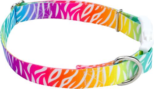 Show full view: Country Brook Petz Deluxe Fashion Zebra Dog Collar, Multi-Colored, 18 to 26-in neck, 1-in wide slide 6 of 7
