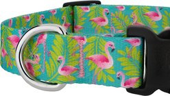 Country Brook Petz Deluxe Flamingos Dog Collar, Teal, Large: 16 to 22-in neck, 1-in wide slide 2 of 5