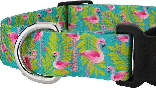 Show full view: Country Brook Petz Deluxe Flamingos Dog Collar, Teal, X-Large: 18 to 26-in neck, 1-in wide slide 5 of 5