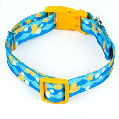 Show full view: Country Brook Petz Deluxe Just Ducky Dog Collar with Yellow Buckle, Blue, Large: 16 to 22-in neck, 1-in wide slide 5 of 8