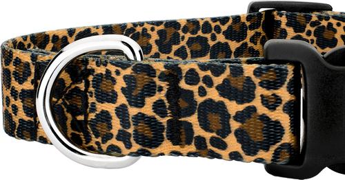 Show full view: Country Brook Petz Deluxe Leopard Print Dog Collar, Brown, 13 to 16-in neck, 1-in wide slide 7 of 7