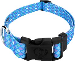 Country Brook Petz Deluxe Mermaid Scales Dog Collar, Blue, 16 to 22-in neck, 1-in wide
