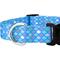 Show in main carousel: Country Brook Petz Deluxe Mermaid Scales Dog Collar, Blue, 18 to 26-in neck, 1-in wide slide 8 of 8