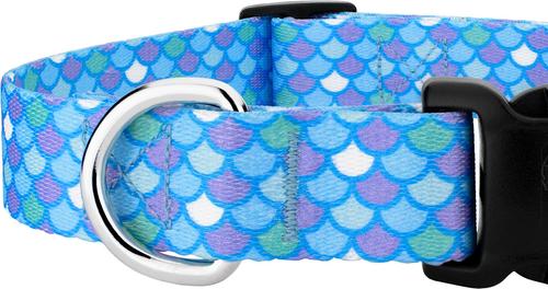 Show full view: Country Brook Petz Deluxe Mermaid Scales Dog Collar, Blue, 18 to 26-in neck, 1-in wide slide 8 of 8