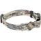 Show in main carousel: Country Brook Petz Deluxe Mountain Viper Camo Dog Collar, Green, Large slide 8 of 9