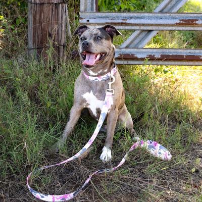 Show full view: Country Brook Petz Deluxe Pink & Grey Camo Dog Collar, Pink, Small slide 3 of 8