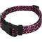 Show in main carousel: Country Brook Petz Deluxe Pink Leopard Dog Collar, Pink, 9 to 11-in neck, 1/2-in wide slide 3 of 5