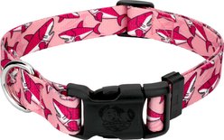 Country Brook Petz Deluxe Pink Sharks Dog Collar, Pink, Large: 16 to 22-in neck, 1-in wide