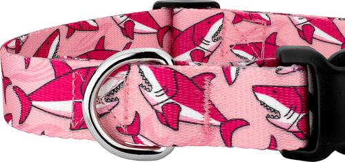 Show full view: Country Brook Petz Deluxe Pink Sharks Dog Collar, Pink, Medium: 13 to 16-in neck, 1-in wide slide 8 of 9